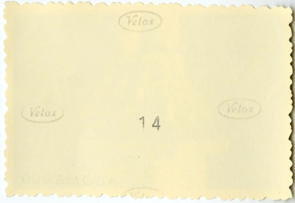 Anonimo , Anonimo francese - sec. XI - Motivi decorativi a girali vegetali; Corteo dei Re Magi