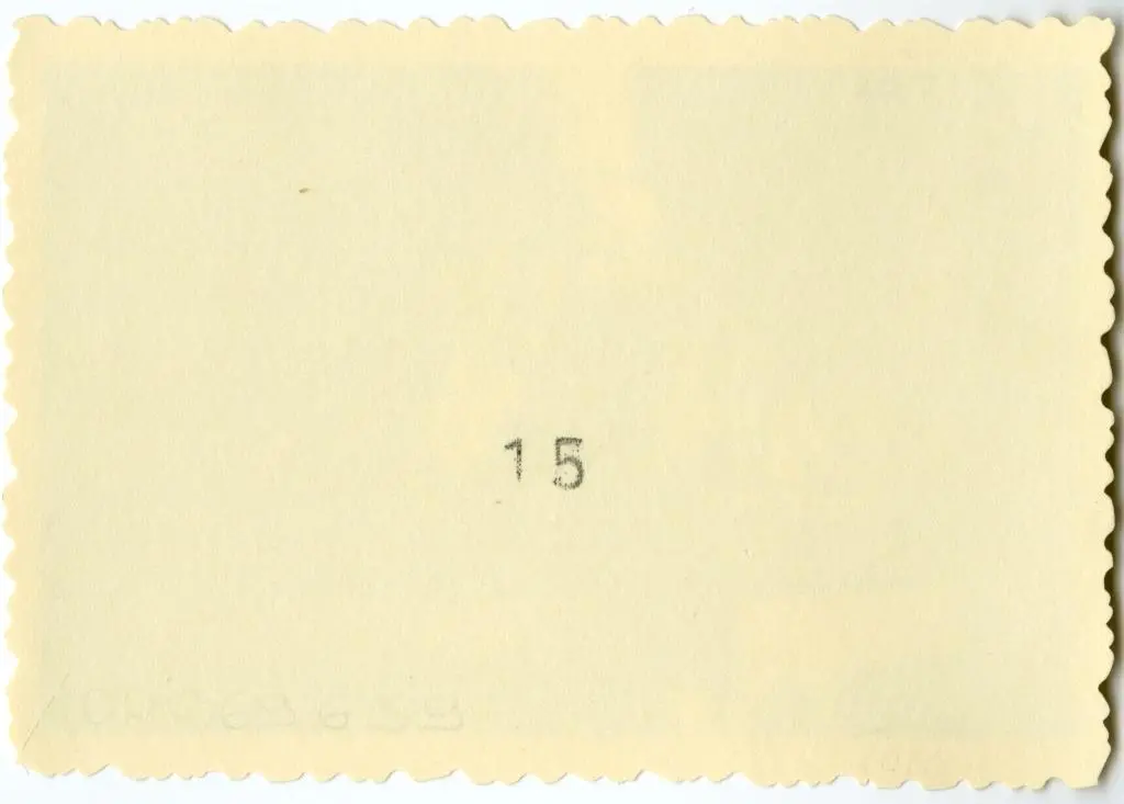 Anonimo , Anonimo francese - sec. XI - Motivi decorativi vegetali e animali