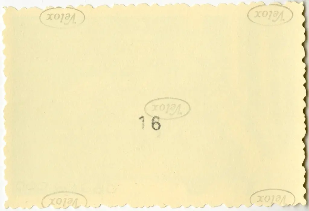 Anonimo , Anonimo francese - sec. XI - Motivi decorativi a girali vegetali; Motivo decorativo fitomorfo con foglie d'acanto