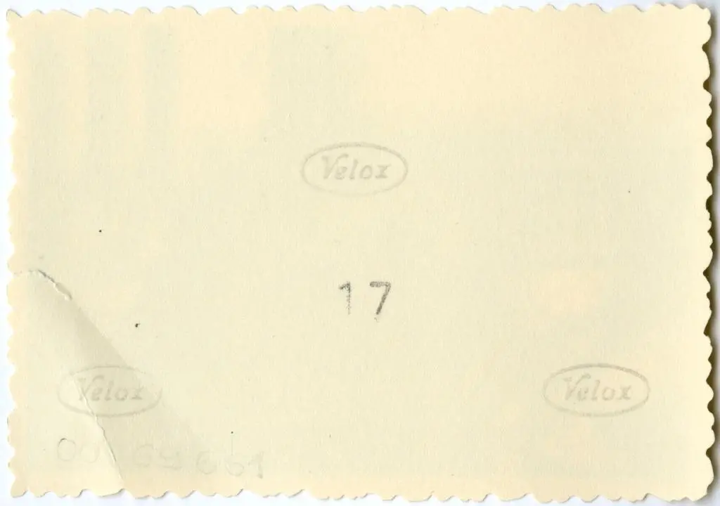 Anonimo , Anonimo francese - sec. XI - Motivi decorativi a girali vegetali; Capitello figurato