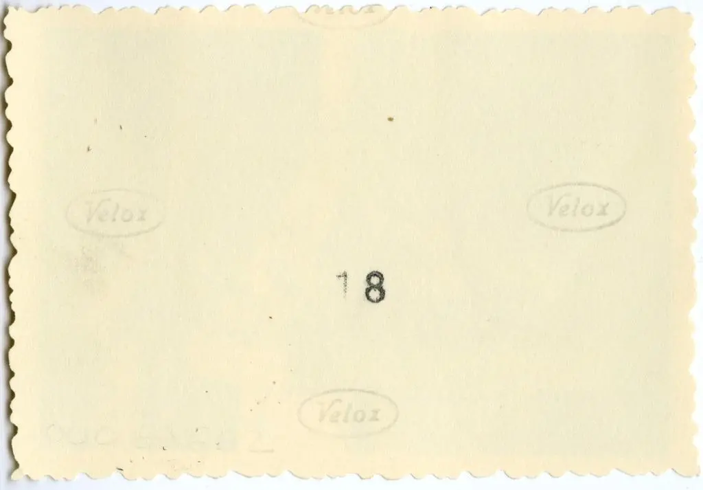 Anonimo , Anonimo francese - sec. XI - Motivi decorativi a girali vegetali; Motivo decorativo fitomorfo con foglie d'acanto