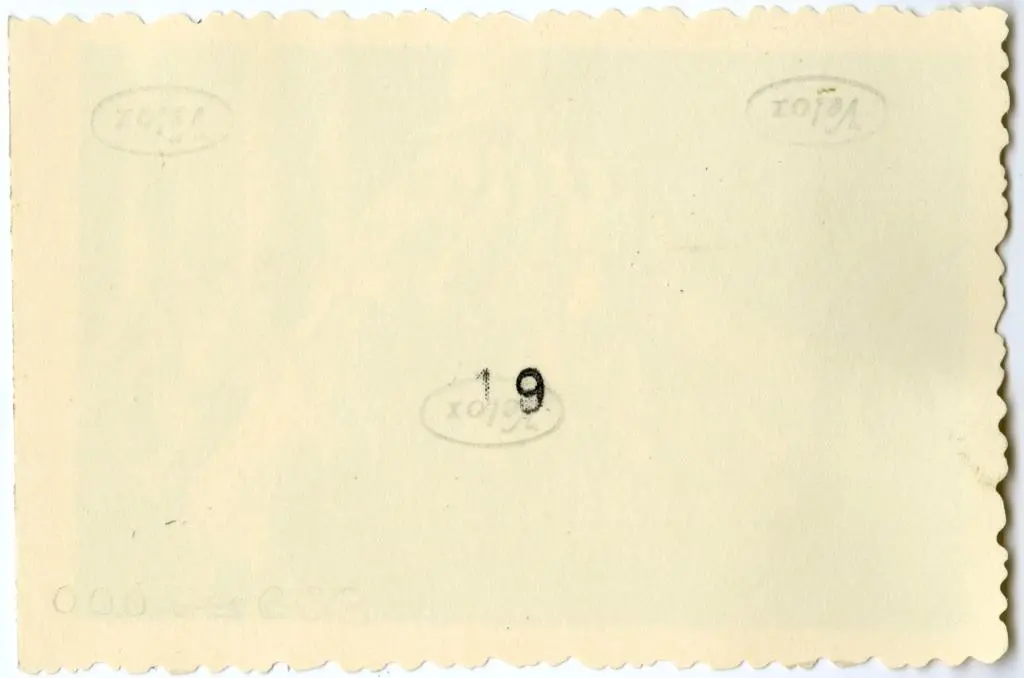 Anonimo , Anonimo francese - sec. XI - Motivi decorativi a girali vegetali; Capitello figurato