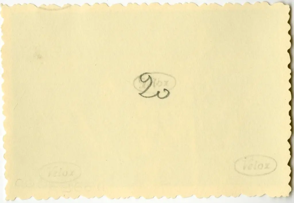 Anonimo , Anonimo francese - sec. XI - Motivi decorativi a girali vegetali; Annunciazione; Visitazione