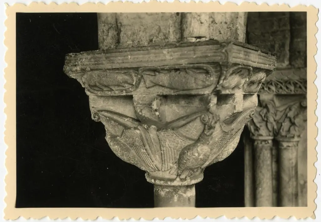 Anonimo , Anonimo francese - sec. XI - Motivi decorativi vegetali e animali