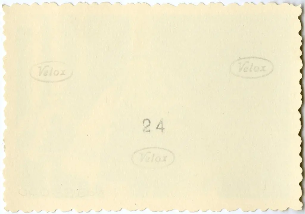 Anonimo , Anonimo francese - sec. XI - Motivi decorativi a girali vegetali; Citt&agrave; fortificata