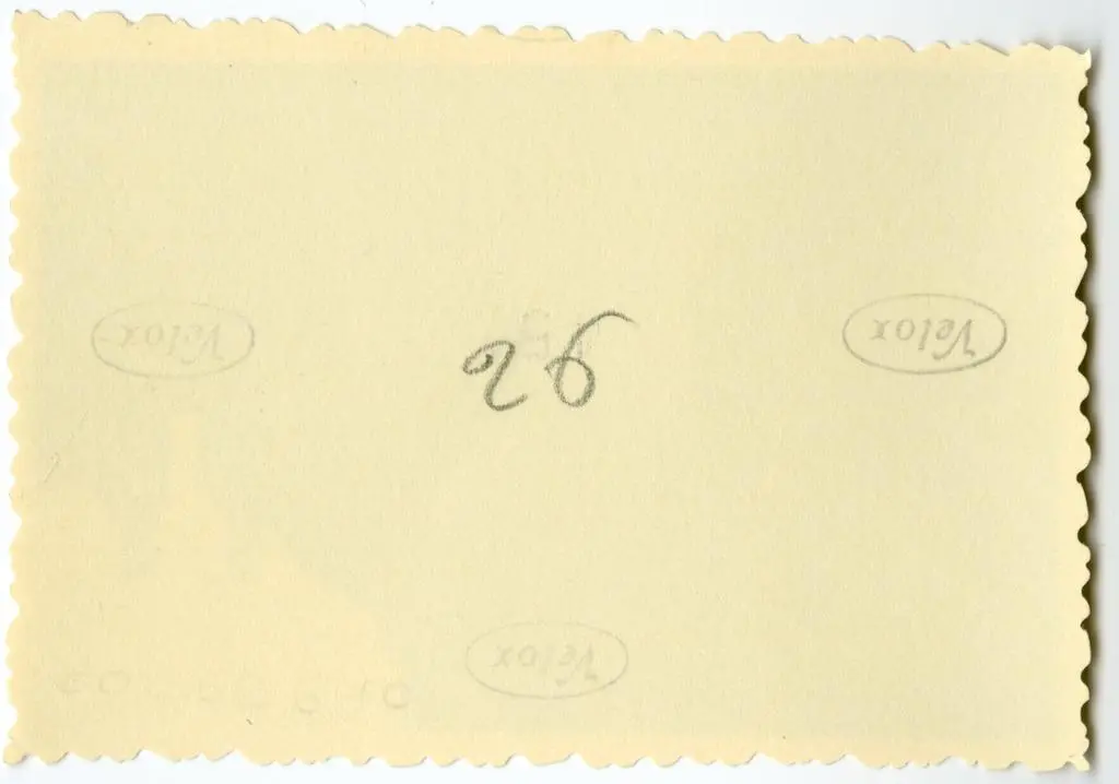 Anonimo , Anonimo francese - sec. XI - Lotta; Motivi decorativi a girali vegetali