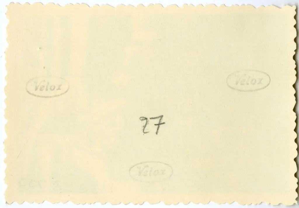 Anonimo , Anonimo francese - sec. XI - Cavallo; Motivi decorativi a girali vegetali; Motivi decorativi con animali