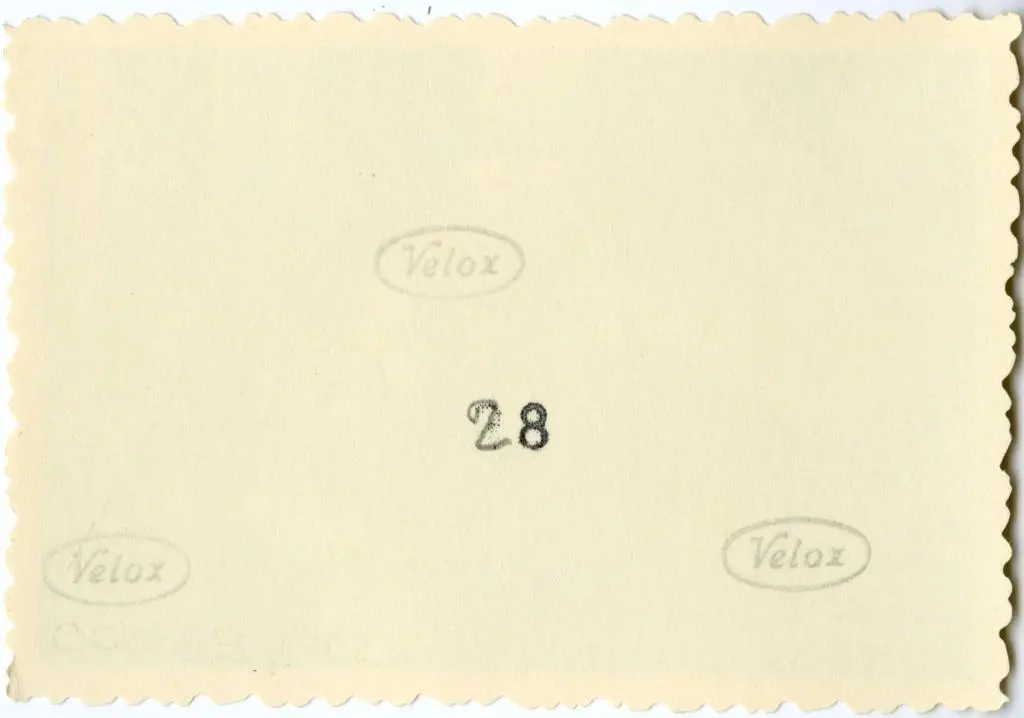 Anonimo , Anonimo francese - sec. XI - Arcangeli; Motivi decorativi a girali vegetali