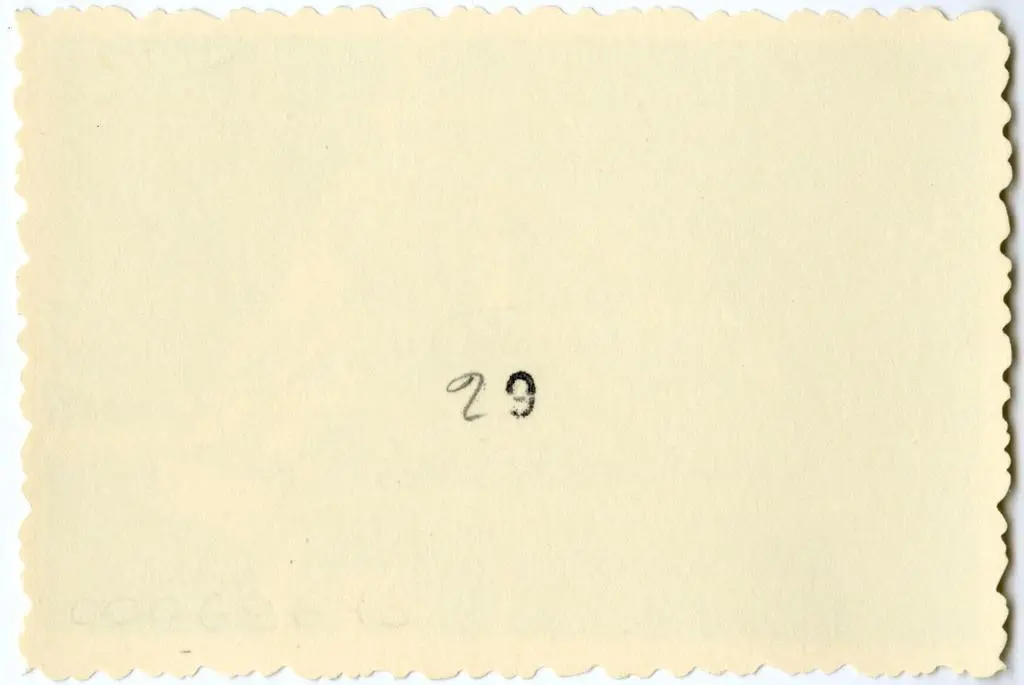 Anonimo , Anonimo francese - sec. XI - Vocazione di san Pietro; Motivo decorativo con animali fantastici