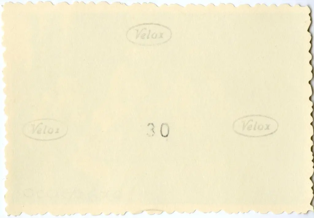 Anonimo , Anonimo francese - sec. XI - Profeta; Motivo decorativo con animali fantastici