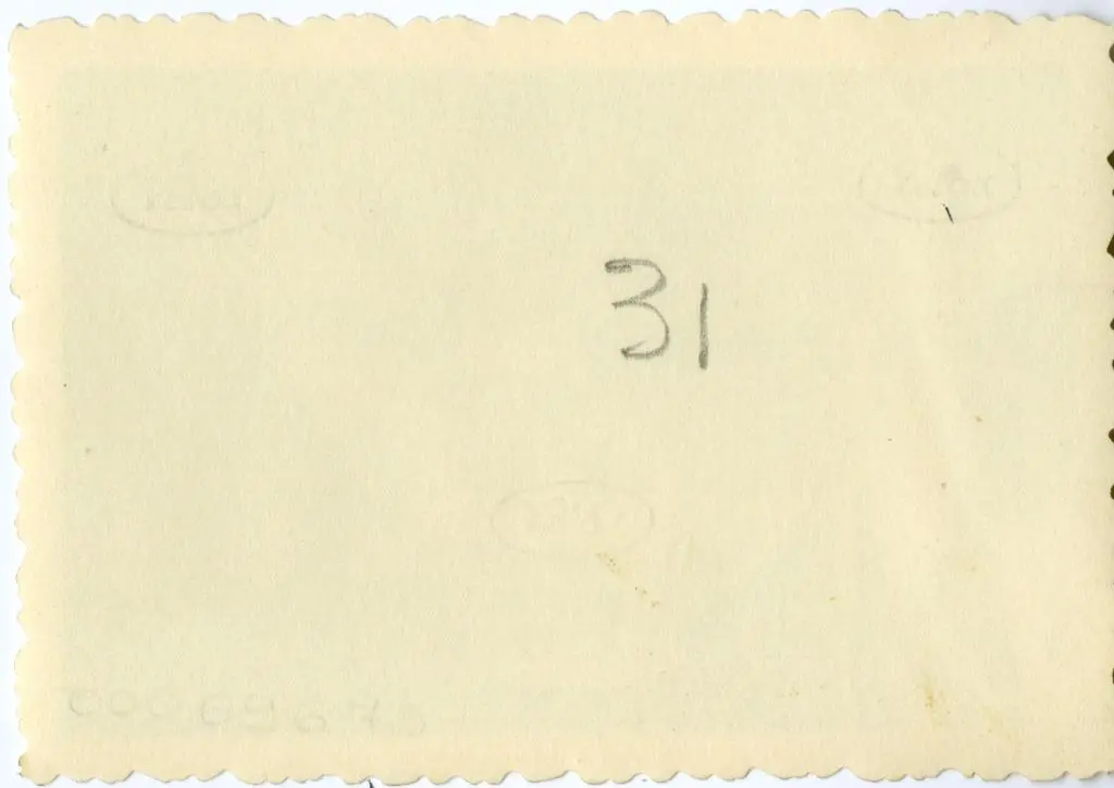 Anonimo , Anonimo francese - sec. XI - Citt&agrave; fortificata; Motivi decorativi a girali vegetali