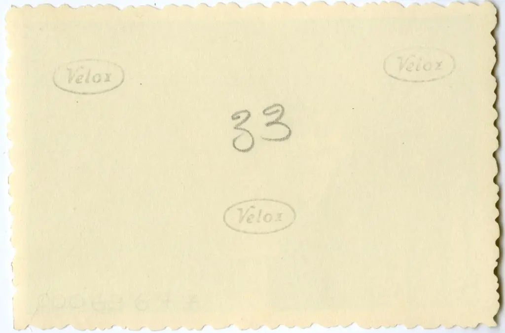 Anonimo , Anonimo francese - sec. XI - Motivi decorativi fitomorfi; Arcangeli