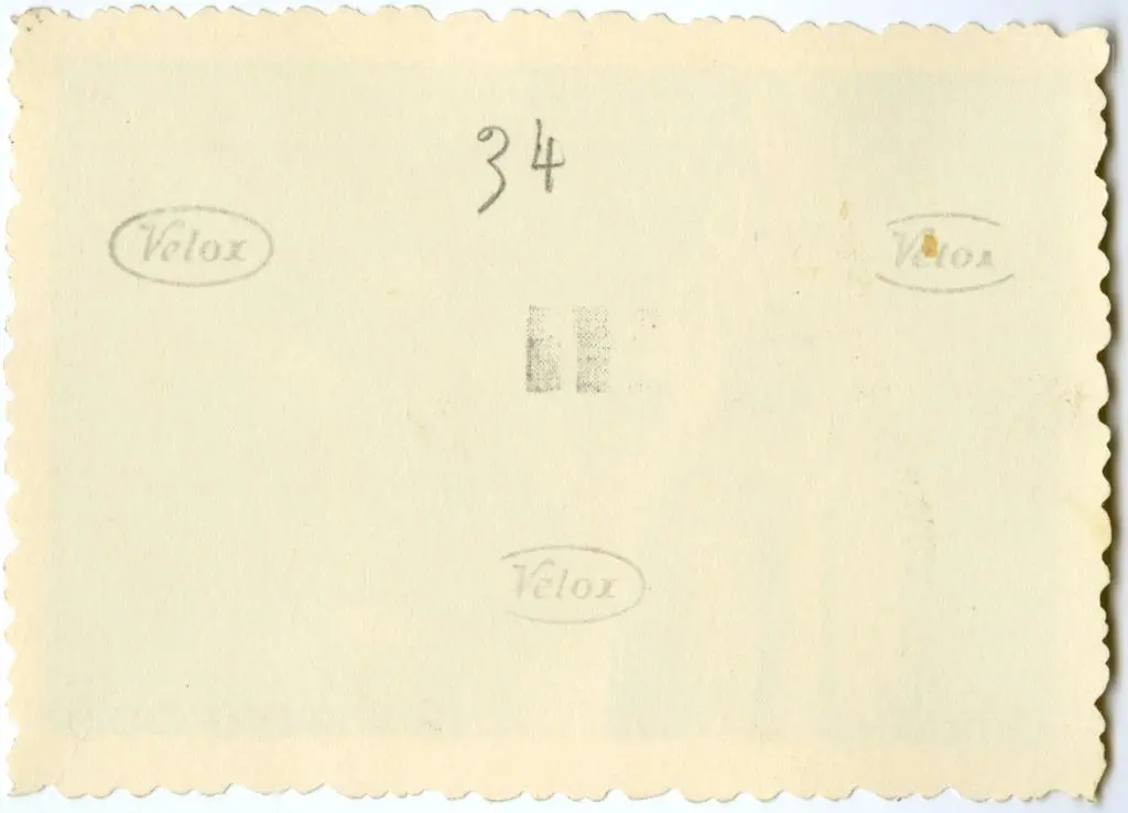 Anonimo , Anonimo francese - sec. XI - Motivi decorativi con uccelli