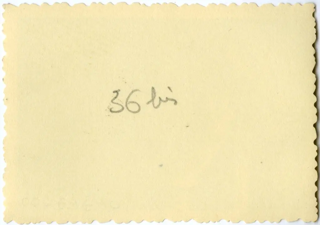 Anonimo , Anonimo francese - sec. XI - San Martino resuscita un giovane; Motivo decorativo con animali fantastici; Angelo