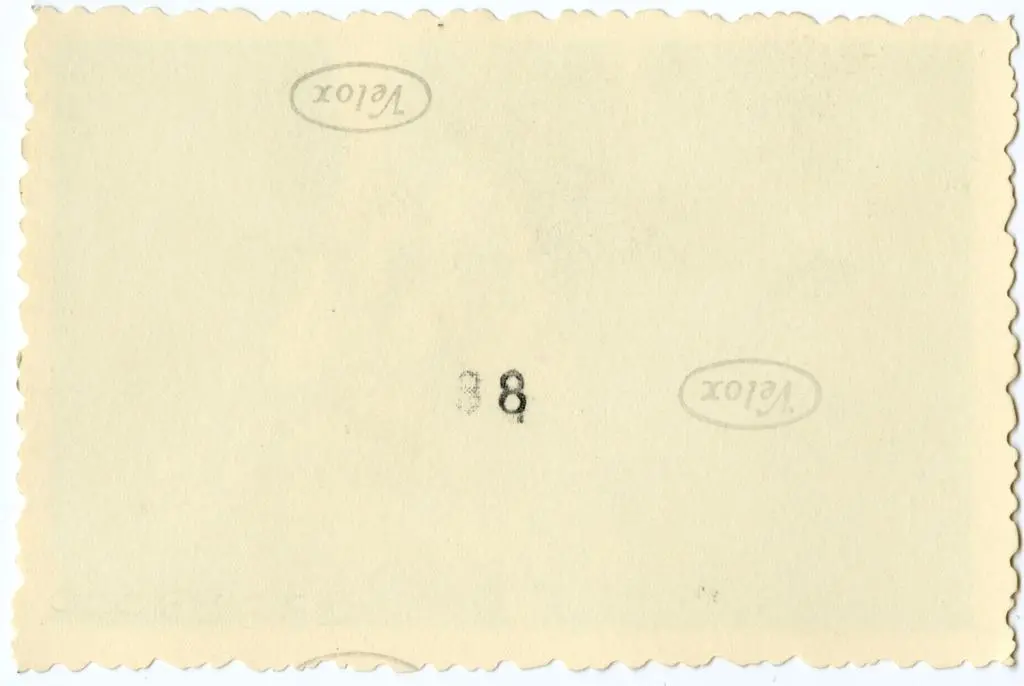 Anonimo , Anonimo francese - sec. XI - Angelo annunciante; Motivi decorativi a girali vegetali