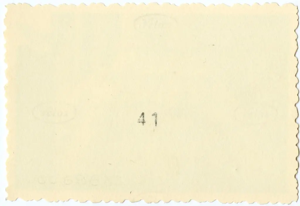 Anonimo , Anonimo francese - sec. XI - Motivo decorativo fitomorfo con foglie d'acanto