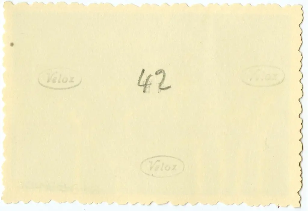 Anonimo , Anonimo francese - sec. XI - Motivi decorativi con animali; Drago