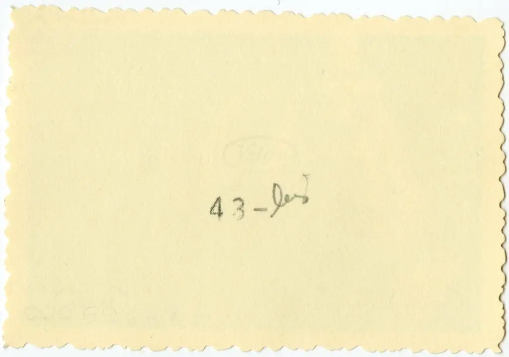 Anonimo , Anonimo francese - sec. XI - Motivi decorativi a girali vegetali; Episodio del Vecchio Testamento