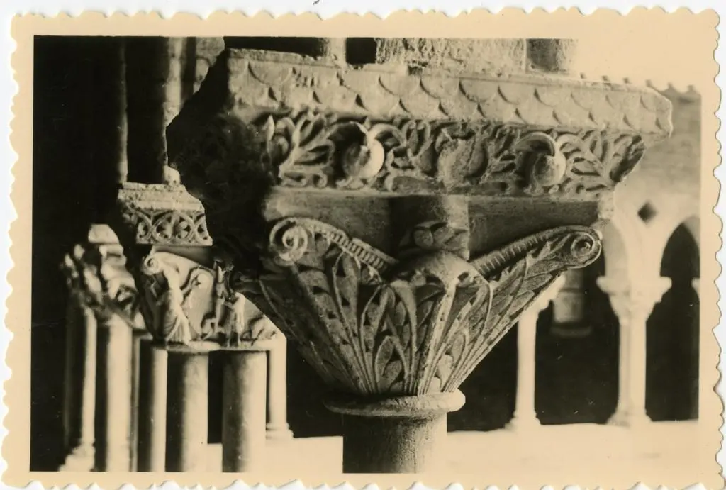 Anonimo , Anonimo francese - sec. XI - Motivi decorativi fitomorfi