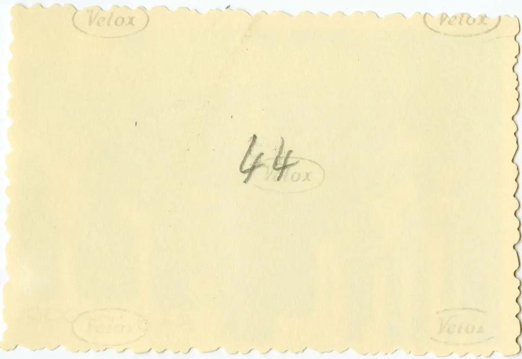 Anonimo , Anonimo francese - sec. XI - Motivi decorativi fitomorfi