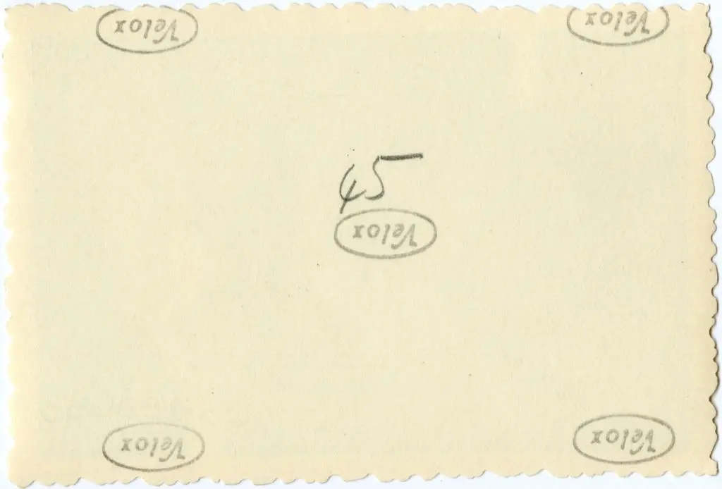 Anonimo , Anonimo francese - sec. XI - Motivi decorativi a girali vegetali; Capitello figurato