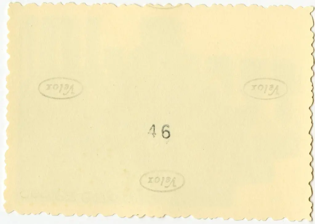 Anonimo , Anonimo francese - sec. XI - Motivi decorativi fitomorfi; Cristo benedicente