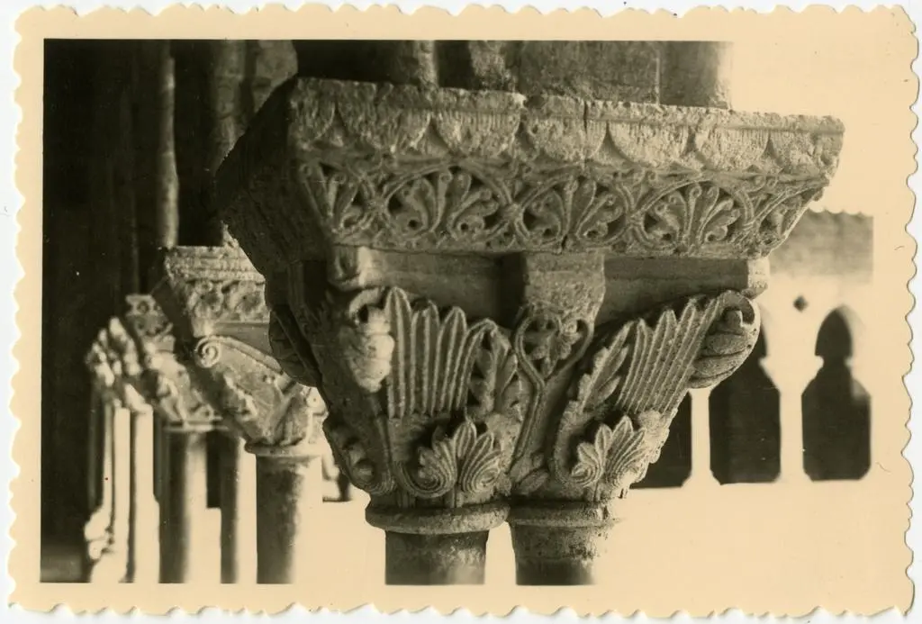 Anonimo , Anonimo francese - sec. XI - Motivi decorativi fitomorfi