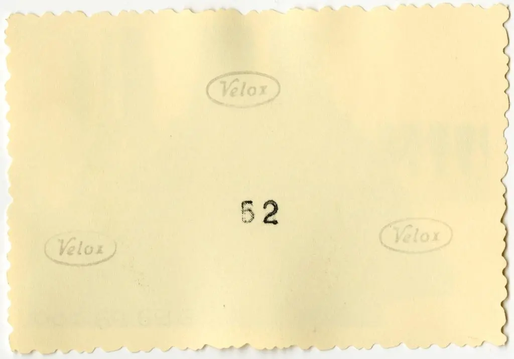 Anonimo , Anonimo francese - sec. XI - Motivi decorativi a girali vegetali; Motivo decorativo fitomorfo con foglie d'acanto