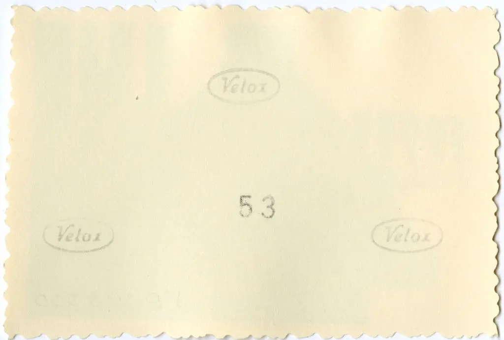 Anonimo , Anonimo francese - sec. XI - Motivi decorativi a girali vegetali; Mos&egrave; con le tavole della legge