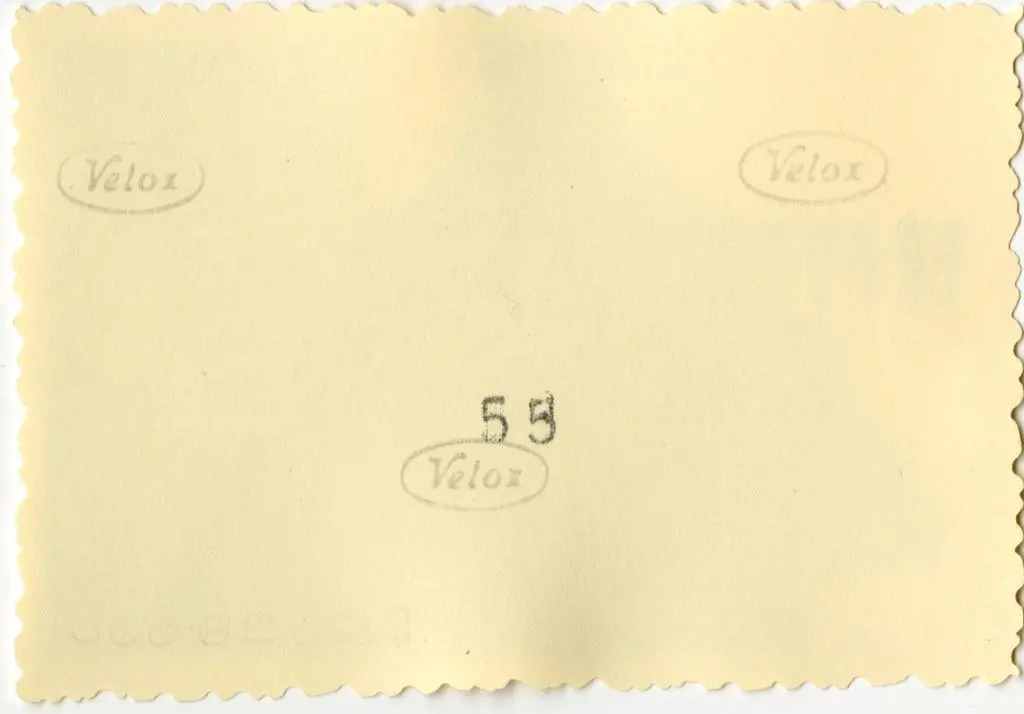 Anonimo , Anonimo francese - sec. XI - Motivi decorativi a girali vegetali; Sacrificio di Isacco