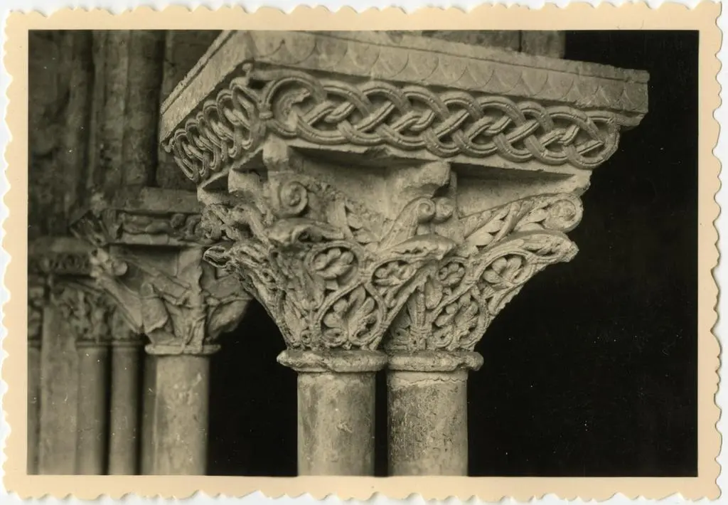 Anonimo , Anonimo francese - sec. XI - Motivi decorativi fitomorfi