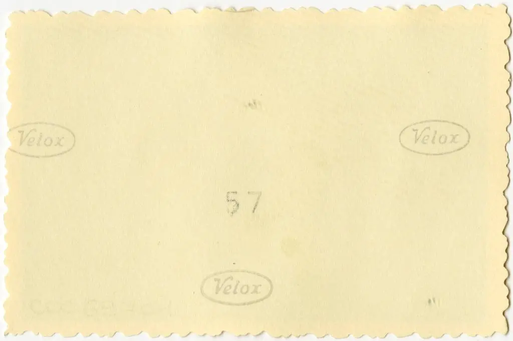 Anonimo , Anonimo francese - sec. XI - Angeli reggiclipeo; Angeli