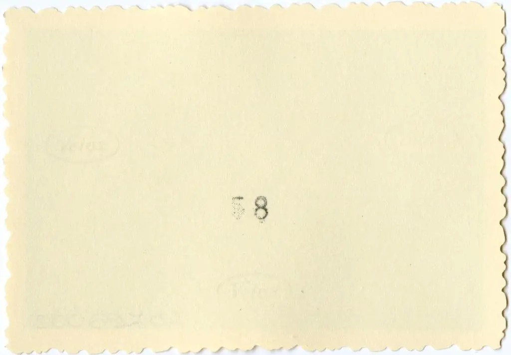 Anonimo , Anonimo francese - sec. XI - Motivi decorativi a girali vegetali; Episodio del Vecchio Testamento