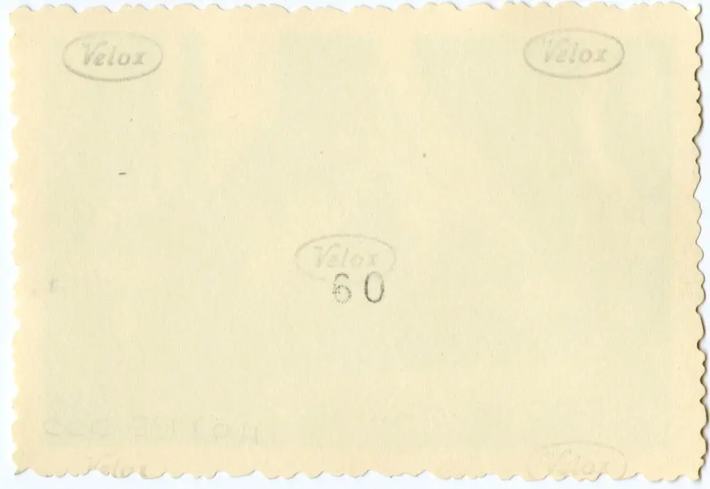 Anonimo , Anonimo francese - sec. XI - Motivi decorativi con uccelli