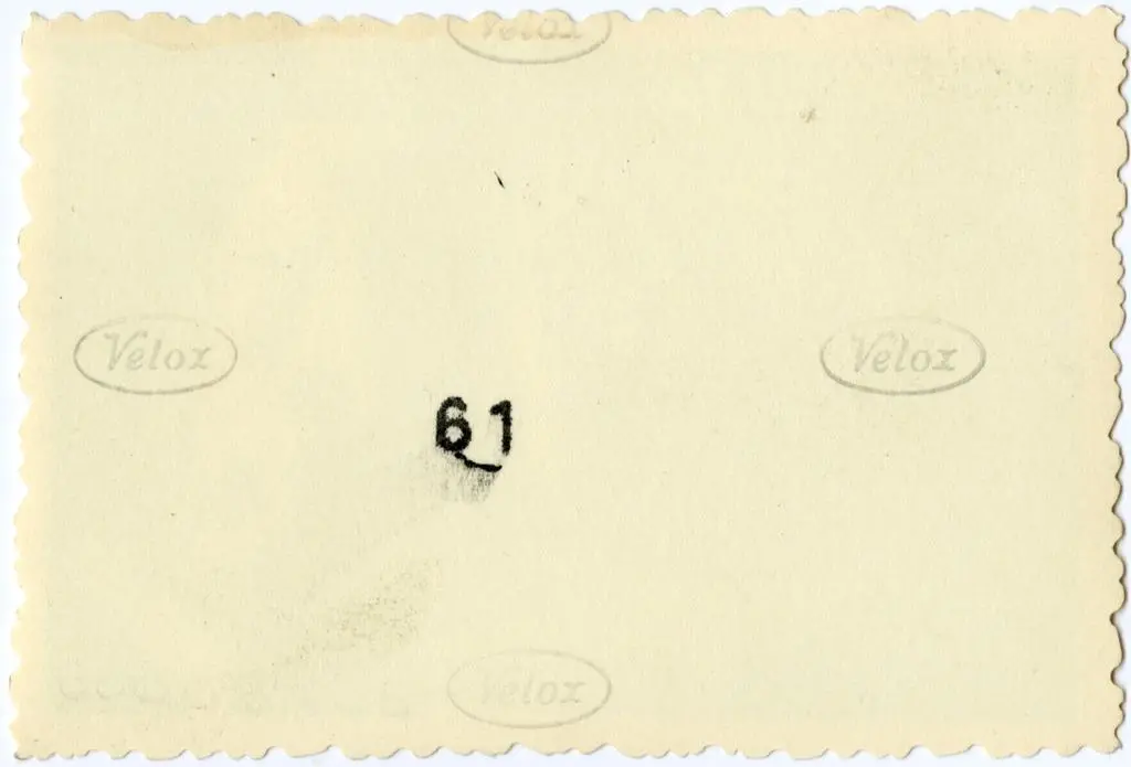 Anonimo , Anonimo francese - sec. XI - Motivi decorativi a girali vegetali; Citt&agrave; fortificata