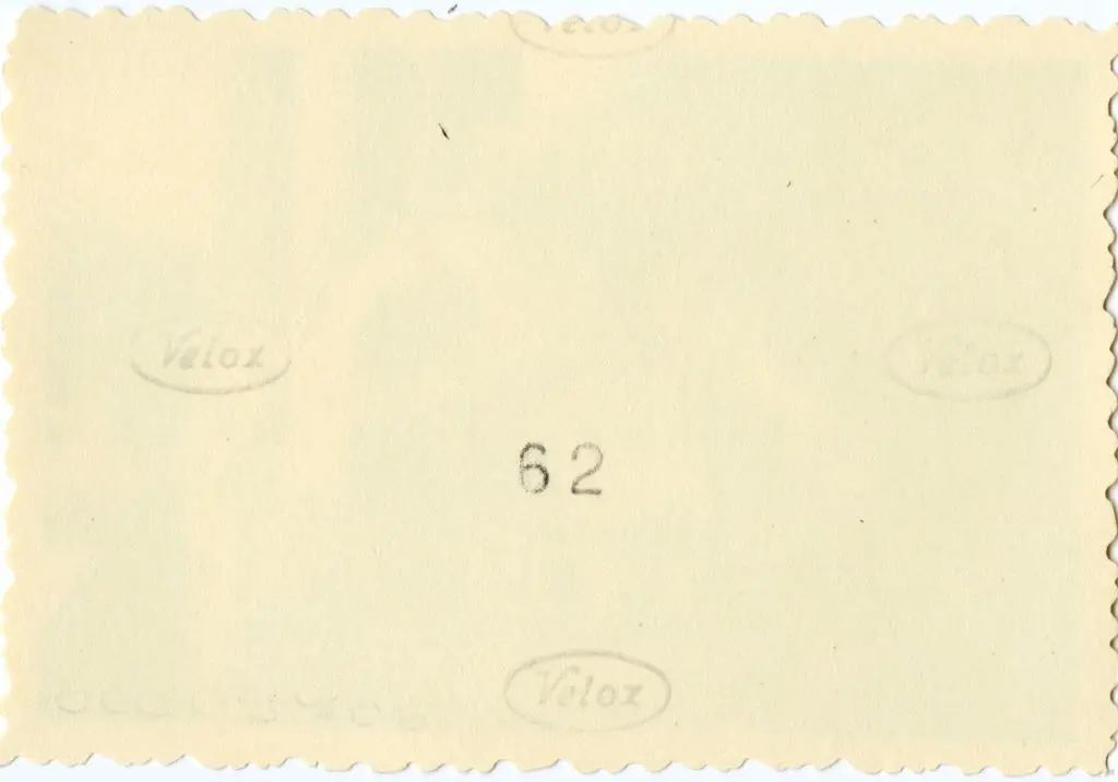 Anonimo , Anonimo francese - sec. XI - Motivo decorativo con animali fantastici