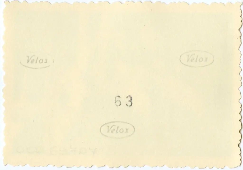 Anonimo , Anonimo francese - sec. XI - Motivi decorativi fitomorfi; Capitello figurato