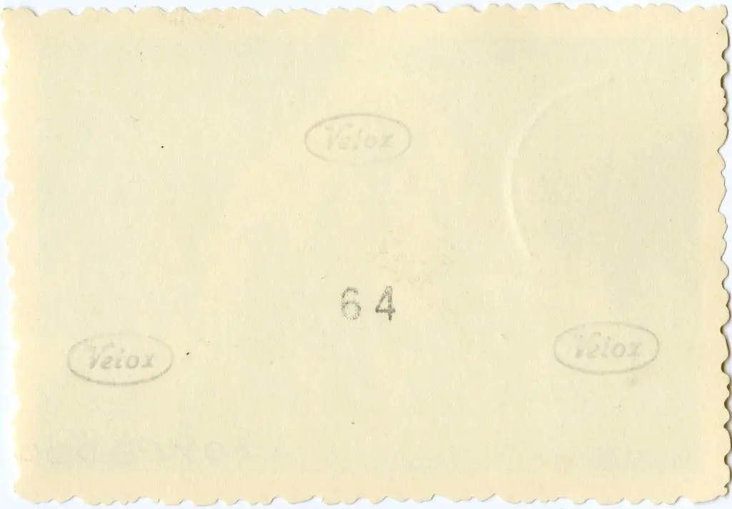 Anonimo , Anonimo francese - sec. XI - Motivi decorativi fitomorfi; Capitello figurato