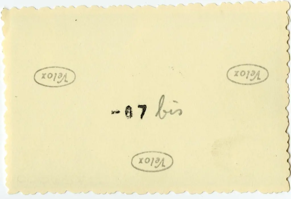 Anonimo , Anonimo francese - sec. XI - Motivi decorativi a girali vegetali; Citt&agrave; fortificata