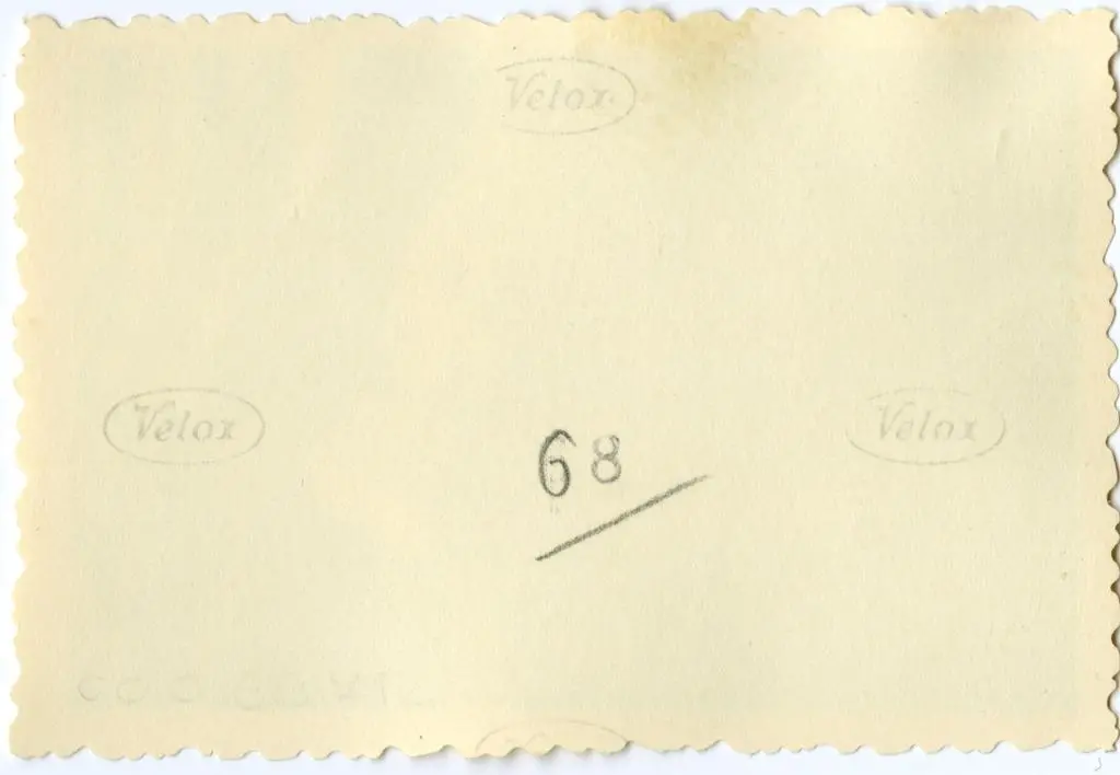 Anonimo , Anonimo francese - sec. XI - Motivi decorativi a girali vegetali; Drago