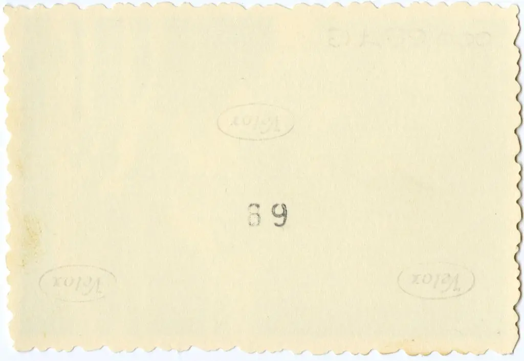 Anonimo , Anonimo francese - sec. XI - Motivo decorativo con animali fantastici