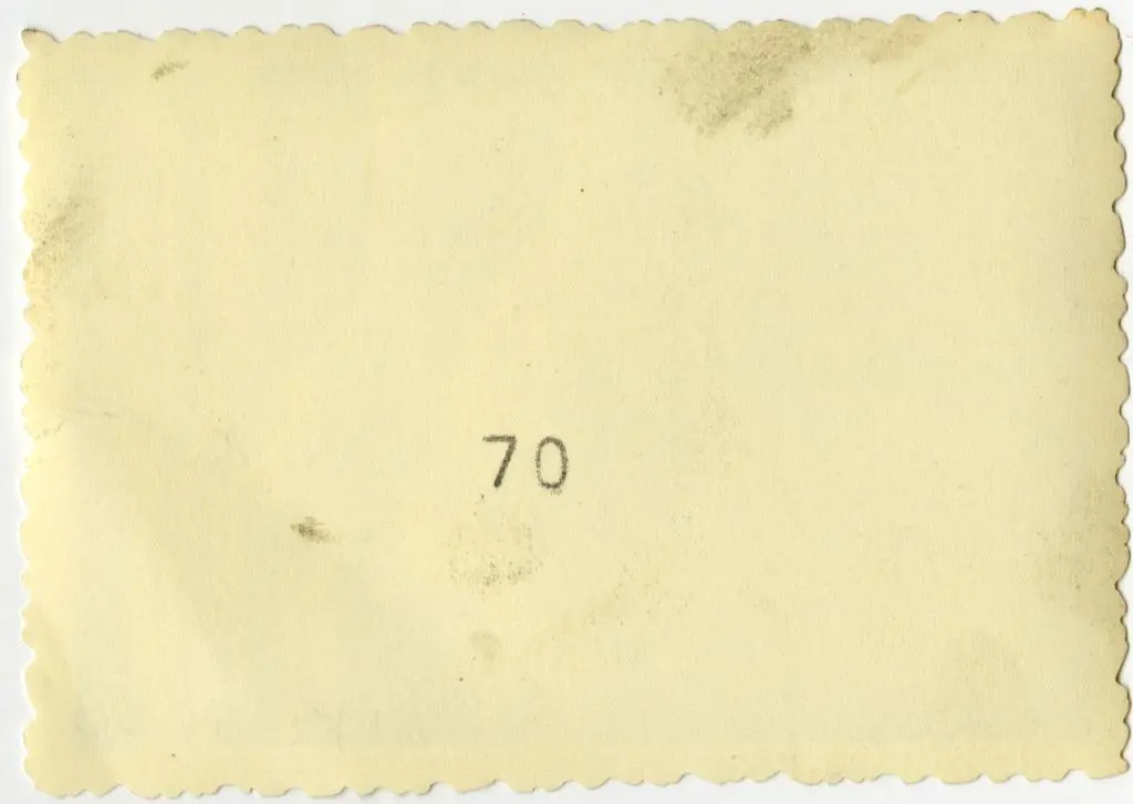 Anonimo , Anonimo francese - sec. XI - Motivi decorativi fitomorfi; Santi