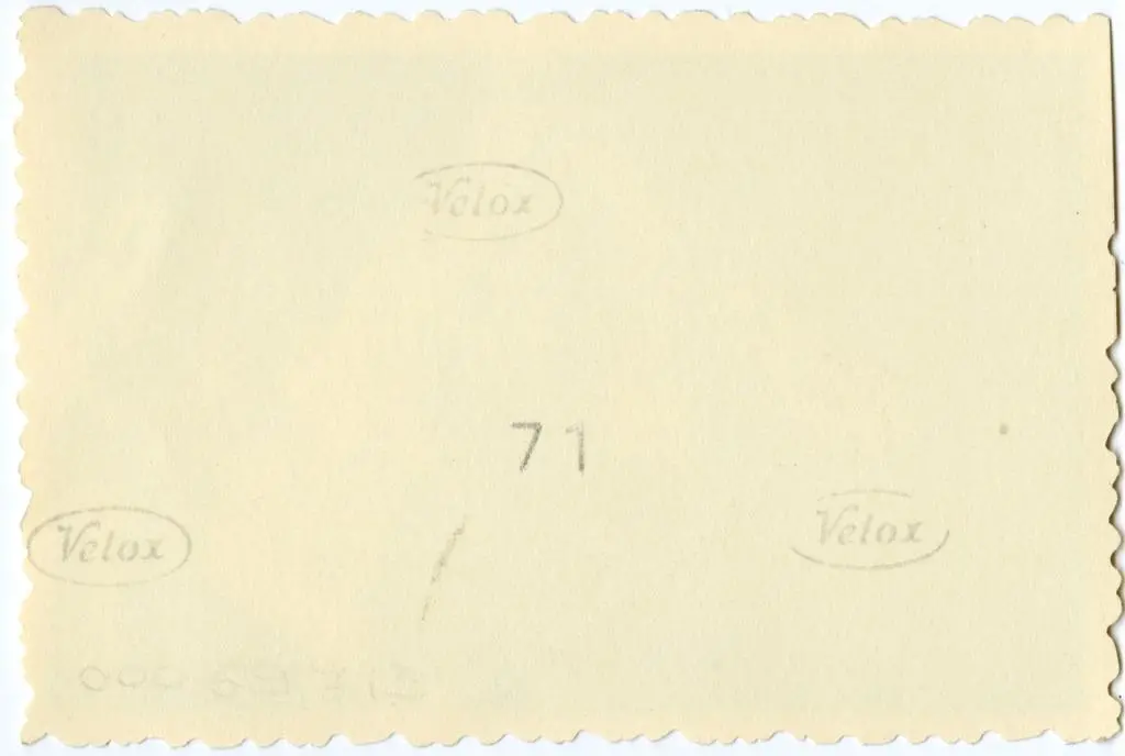 Anonimo , Anonimo francese - sec. XI - Motivi decorativi a girali vegetali; Soldati