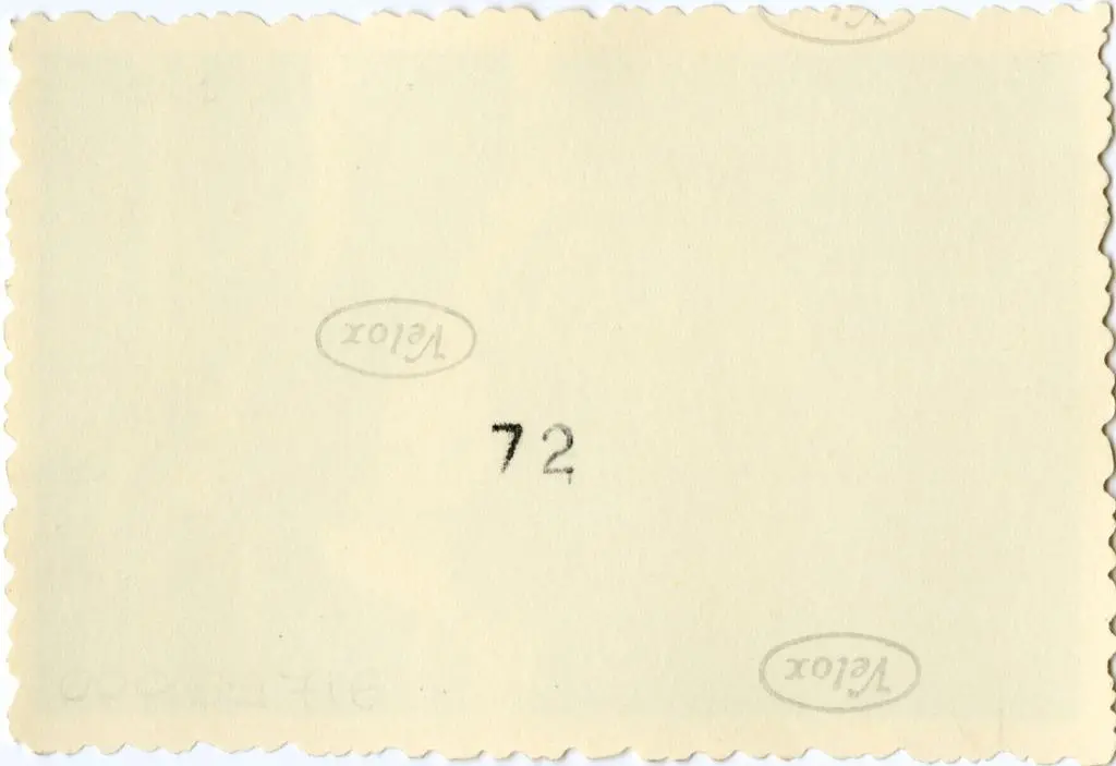 Anonimo , Anonimo francese - sec. XI - Motivi decorativi a girali vegetali; Angeli reggono il velo della Veronica