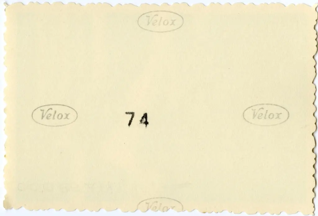 Anonimo , Anonimo francese - sec. XI - Motivi decorativi fitomorfi; Santi apostoli