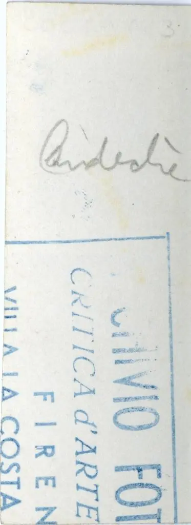 Anonimo , Anonimo - sec. XI - Motivi decorativi vegetali con uccelli