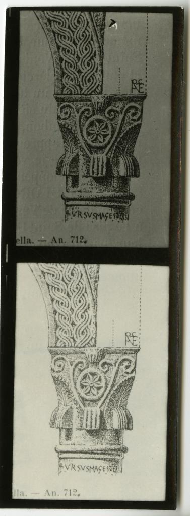 Anonimo sec. XI , Motivi decorativi fitomorfi