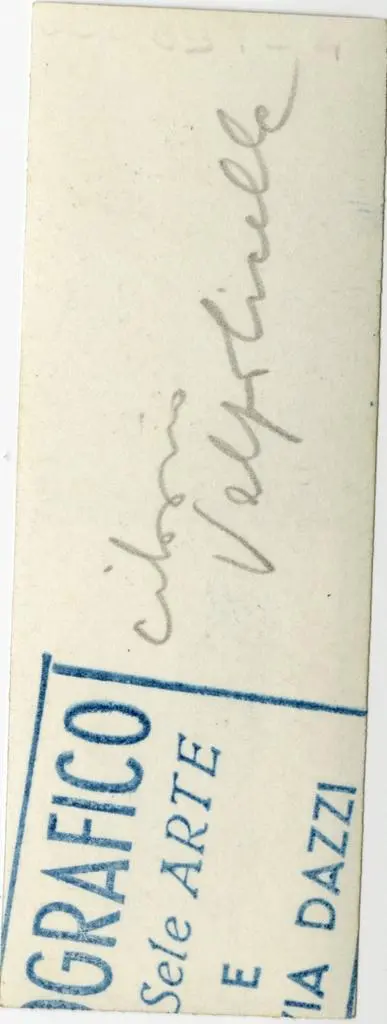 Anonimo , Anonimo - sec. XI - Motivi decorativi fitomorfi