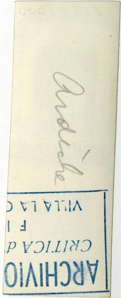 Anonimo , Anonimo - sec. XI - Motivi decorativi geometrici e vegetali