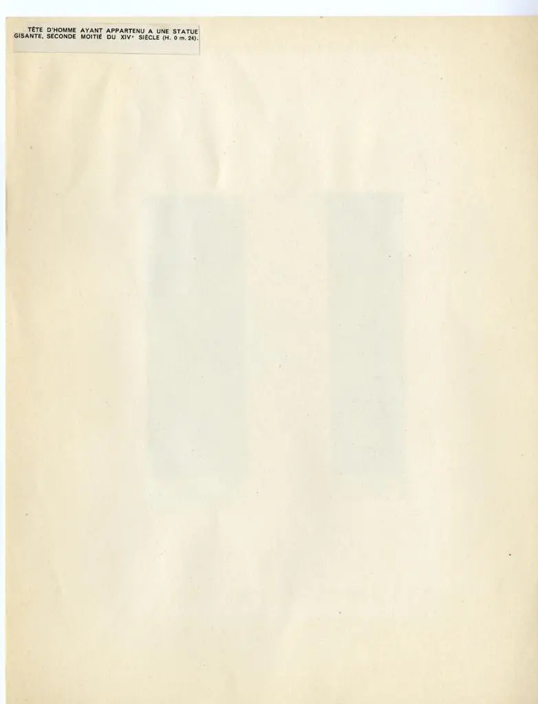 Anonimo , T&ecirc;te d'homme ayant appartenu a une statue gisante, seconde moiti&eacute; du XIVe si&egrave;cle (H. 0 m. 24).